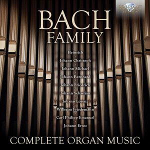 Johann Sebastian Bach - Organ Concerto in D-, BWV596 (arr. of